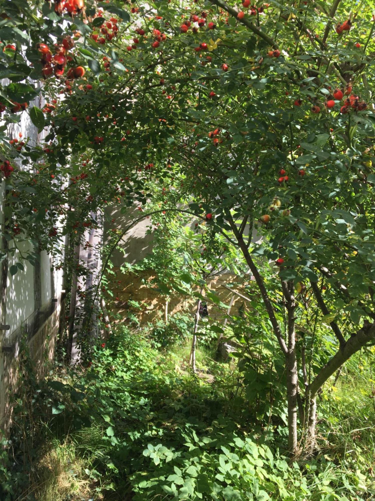 Cherrytree Cottage 1840 هيمباخ المظهر الخارجي الصورة