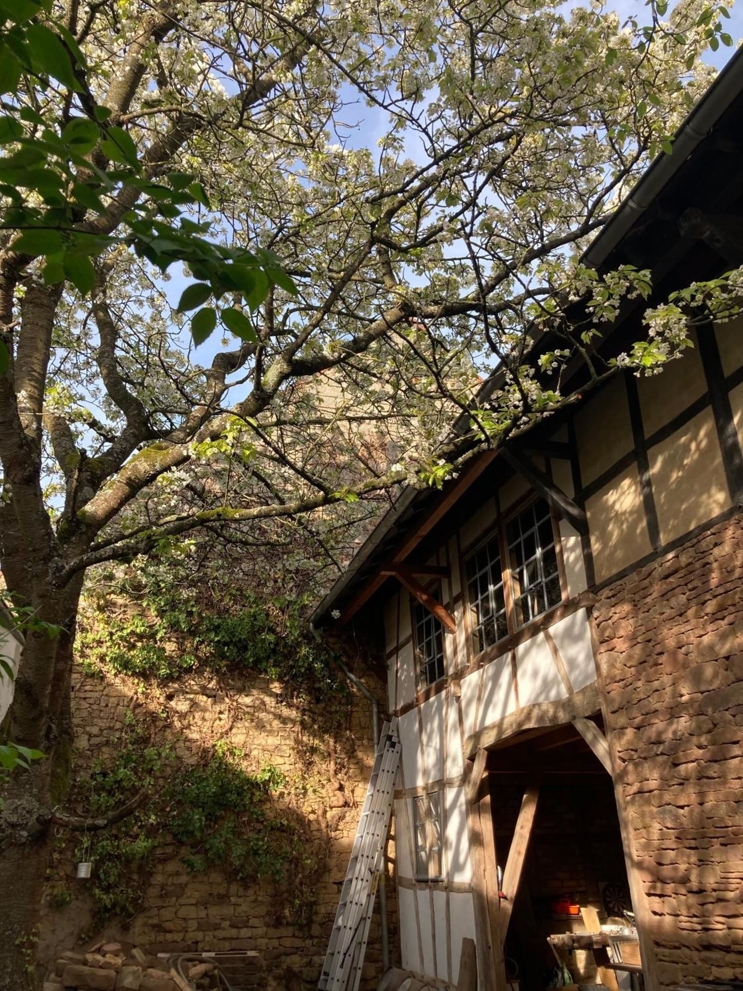 Cherrytree Cottage 1840 هيمباخ المظهر الخارجي الصورة