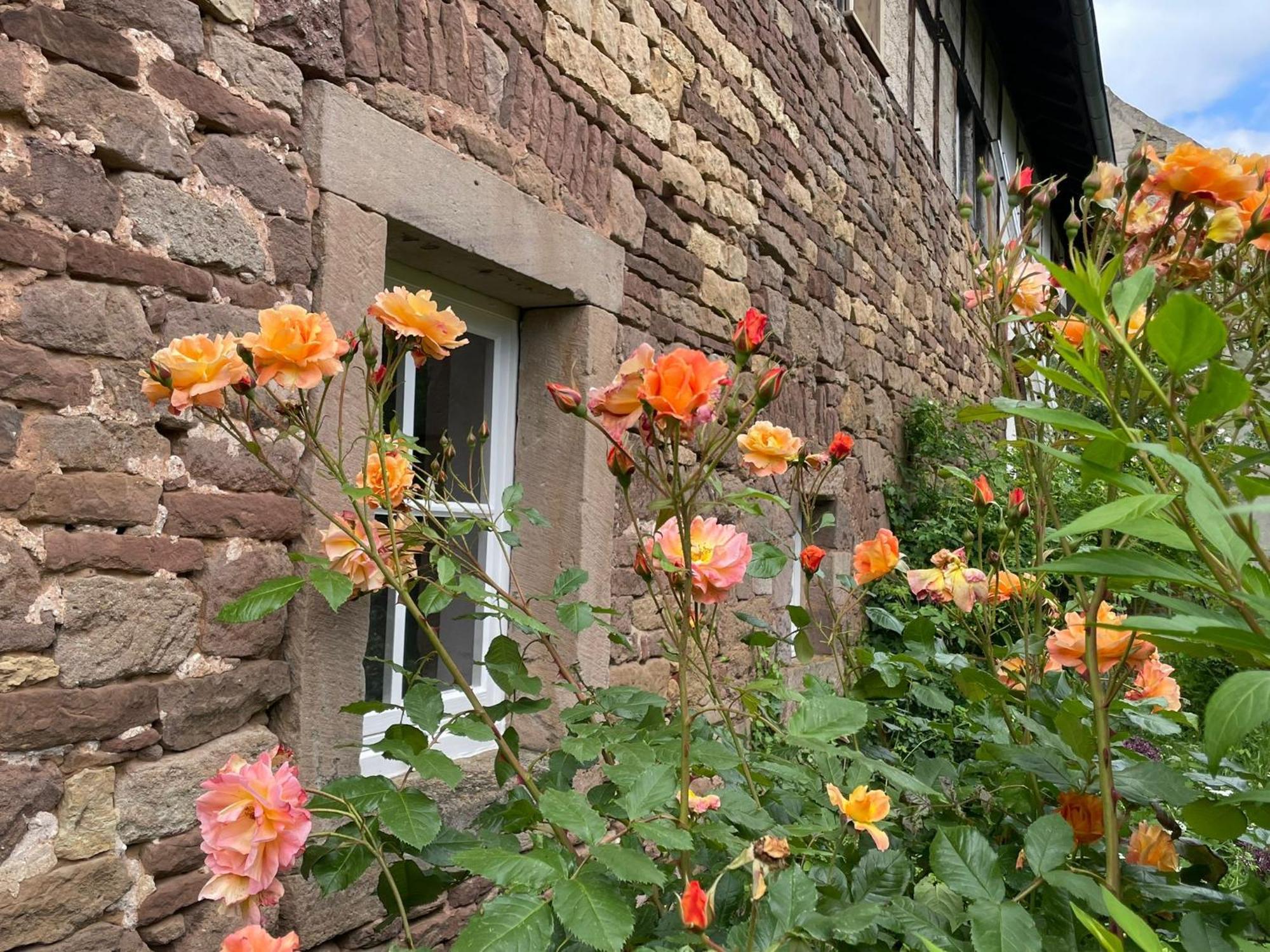 Cherrytree Cottage 1840 هيمباخ المظهر الخارجي الصورة