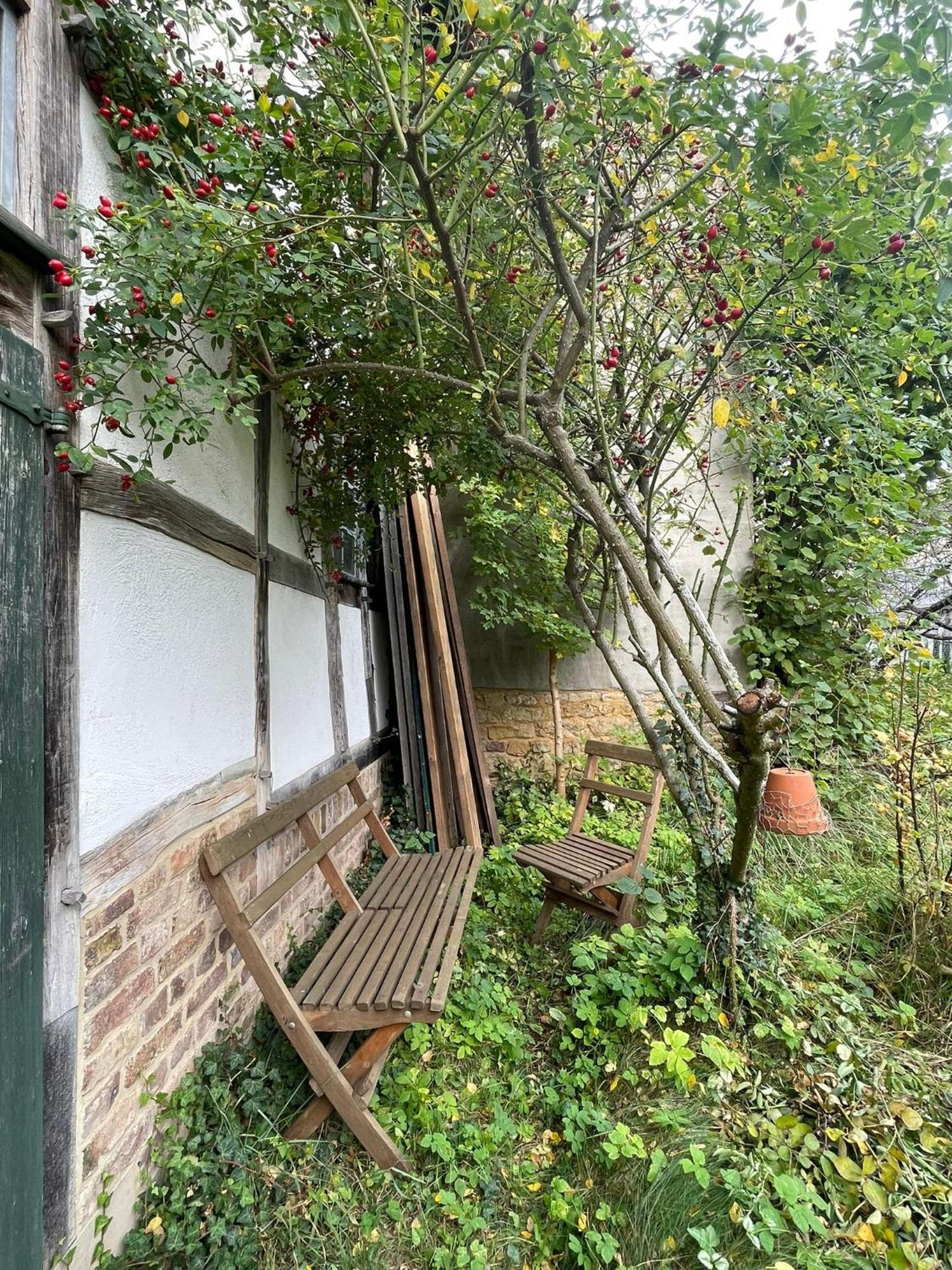 Cherrytree Cottage 1840 هيمباخ المظهر الخارجي الصورة