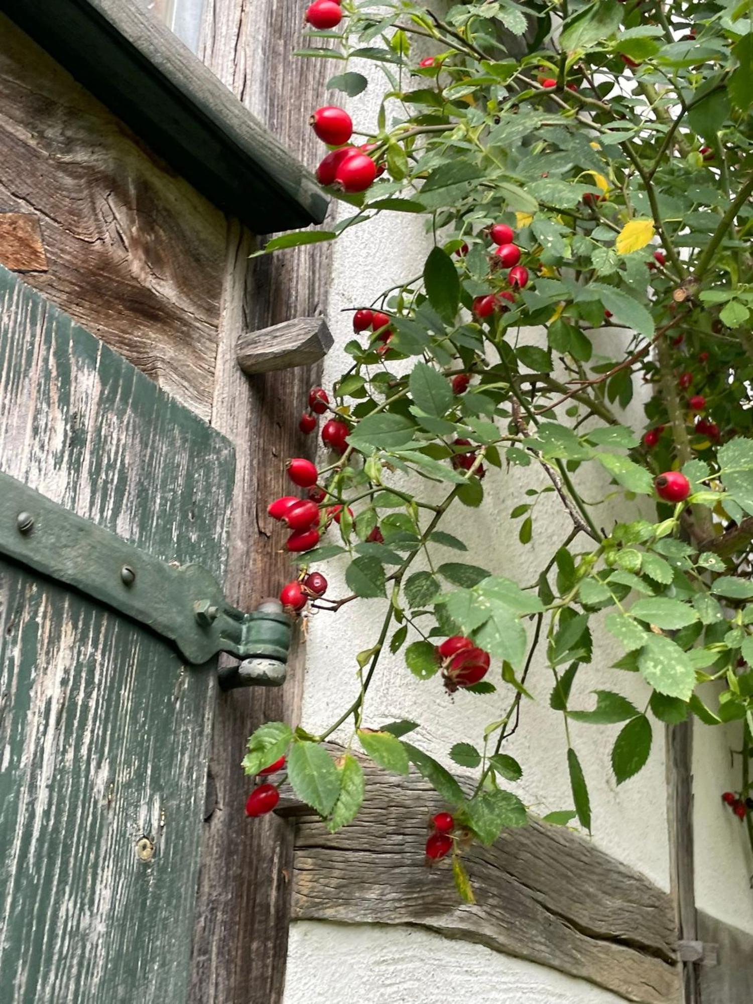 Cherrytree Cottage 1840 هيمباخ المظهر الخارجي الصورة